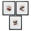Paragon Bohemia S/3 Brown 20 X 18 X 2 Wall Art