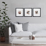 Paragon Bohemia S/3 Brown 20 X 18 X 2 Wall Art