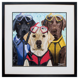 Paragon Scuba Dogs Blue 28 X 28 X 2 Wall Art