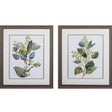 Paragon Seeded Eucalyptus S/2 Green 28 X 24 X 1 Wall Art