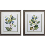 Paragon Seeded Eucalyptus S/2 Green 28 X 24 X 1 Wall Art
