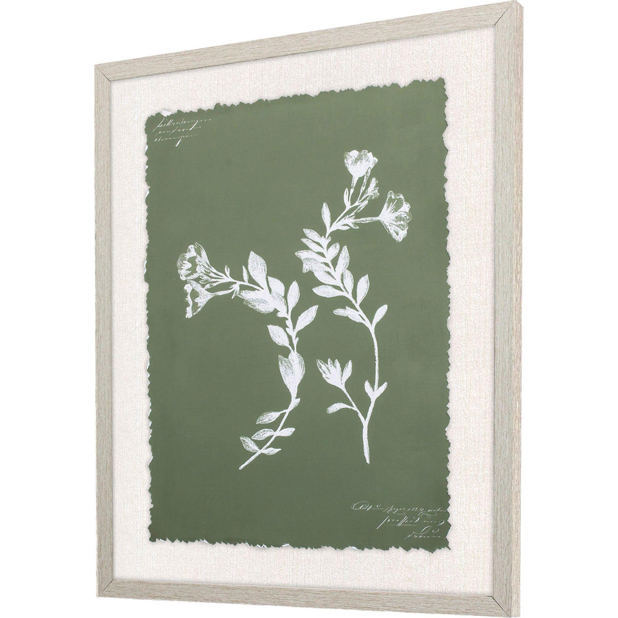 Paragon Botanical Garden I Green 24 X 20 X 1 Wall Art