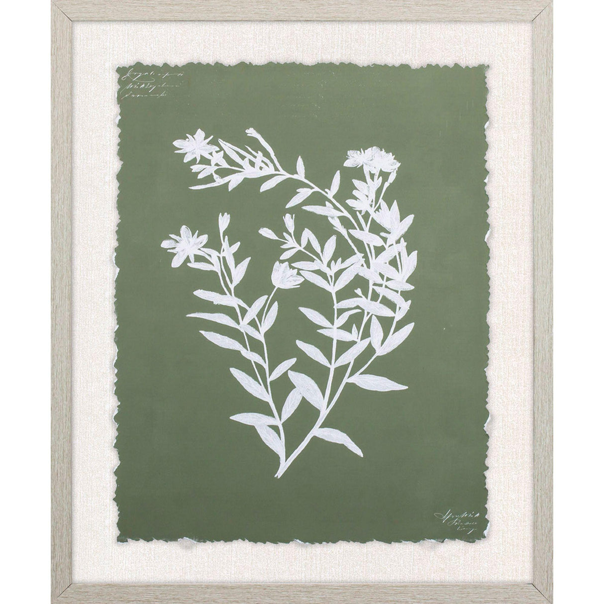 Paragon Botanical Garden III Green 24 X 20 X 1 Wall Art