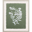 Paragon Botanical Garden III Green 24 X 20 X 1 Wall Art
