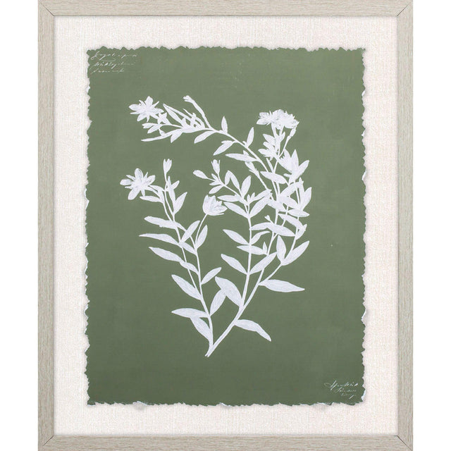 Paragon Botanical Garden III Green 24 X 20 X 1 Wall Art