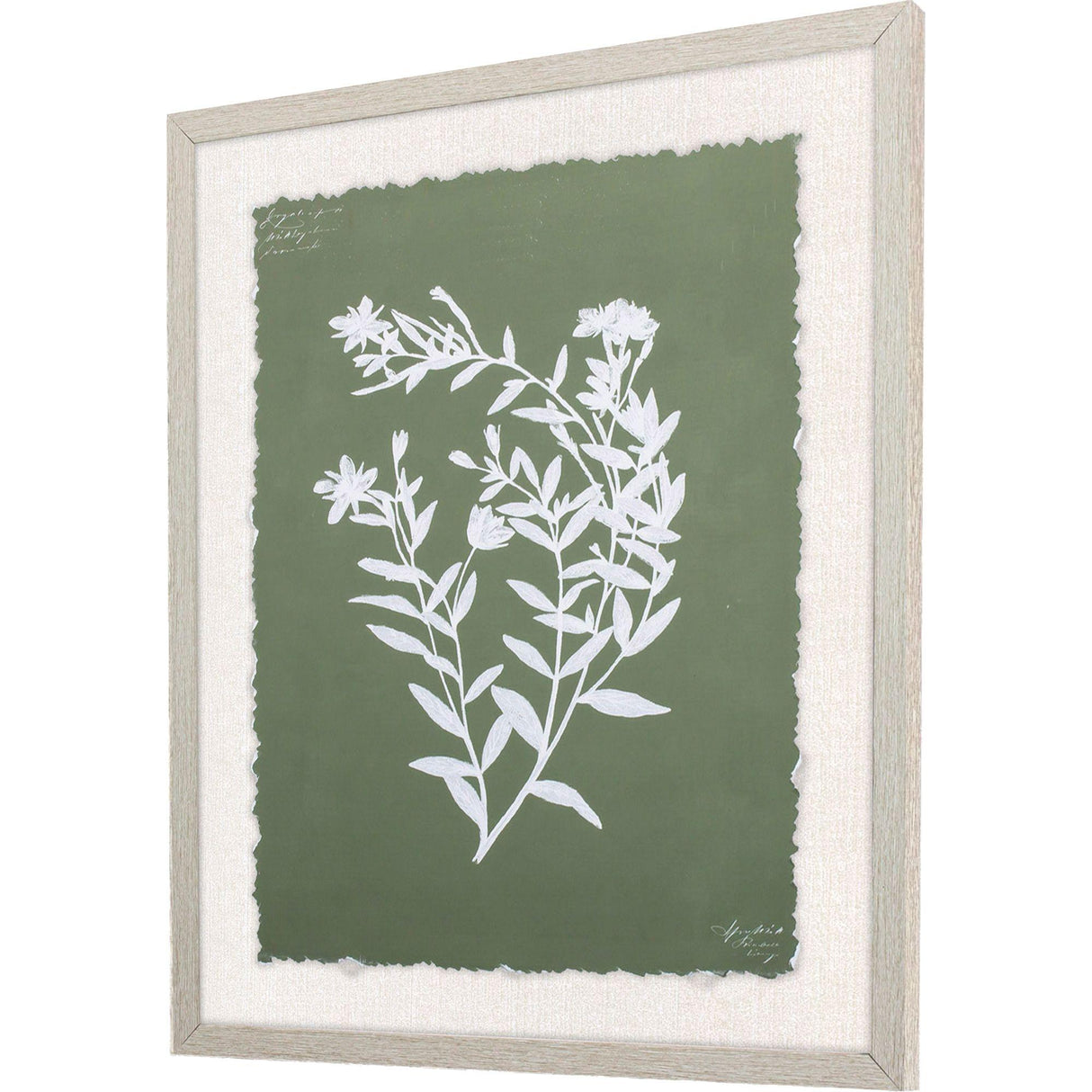 Paragon Botanical Garden III Green 24 X 20 X 1 Wall Art