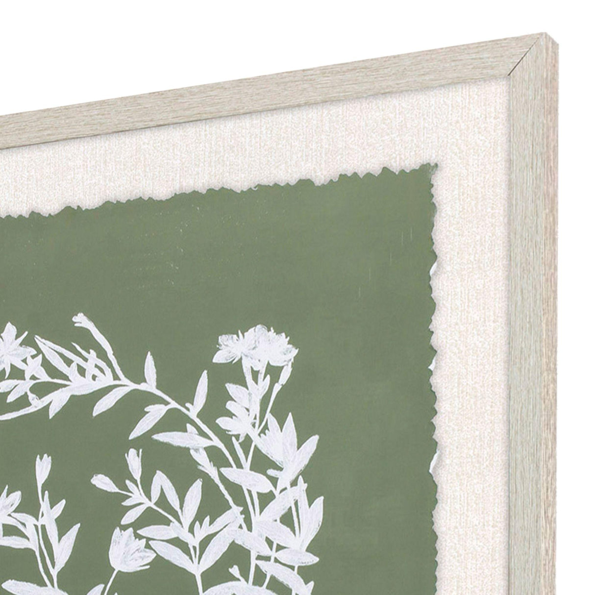 Paragon Botanical Garden III Green 24 X 20 X 1 Wall Art