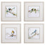 Paragon Birds on Branch S/4 Green 17 X 17 X 1 Wall Art