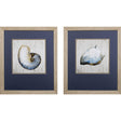 Paragon Simple Shell S/2 Blue 24 X 21 X 1 Wall Art
