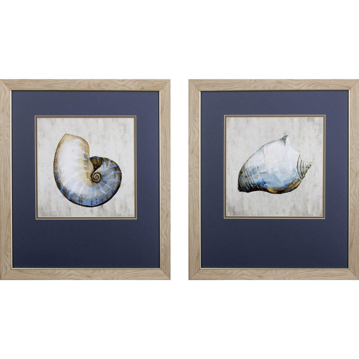 Paragon Simple Shell S/2 Blue 24 X 21 X 1 Wall Art