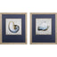 Paragon Simple Shell S/2 Blue 24 X 21 X 1 Wall Art