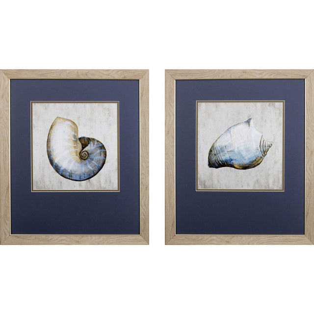 Paragon Simple Shell S/2 Blue 24 X 21 X 1 Wall Art