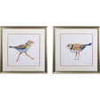 Paragon Coastal Plover S/2 Green 27 X 27 X 1 Wall Art