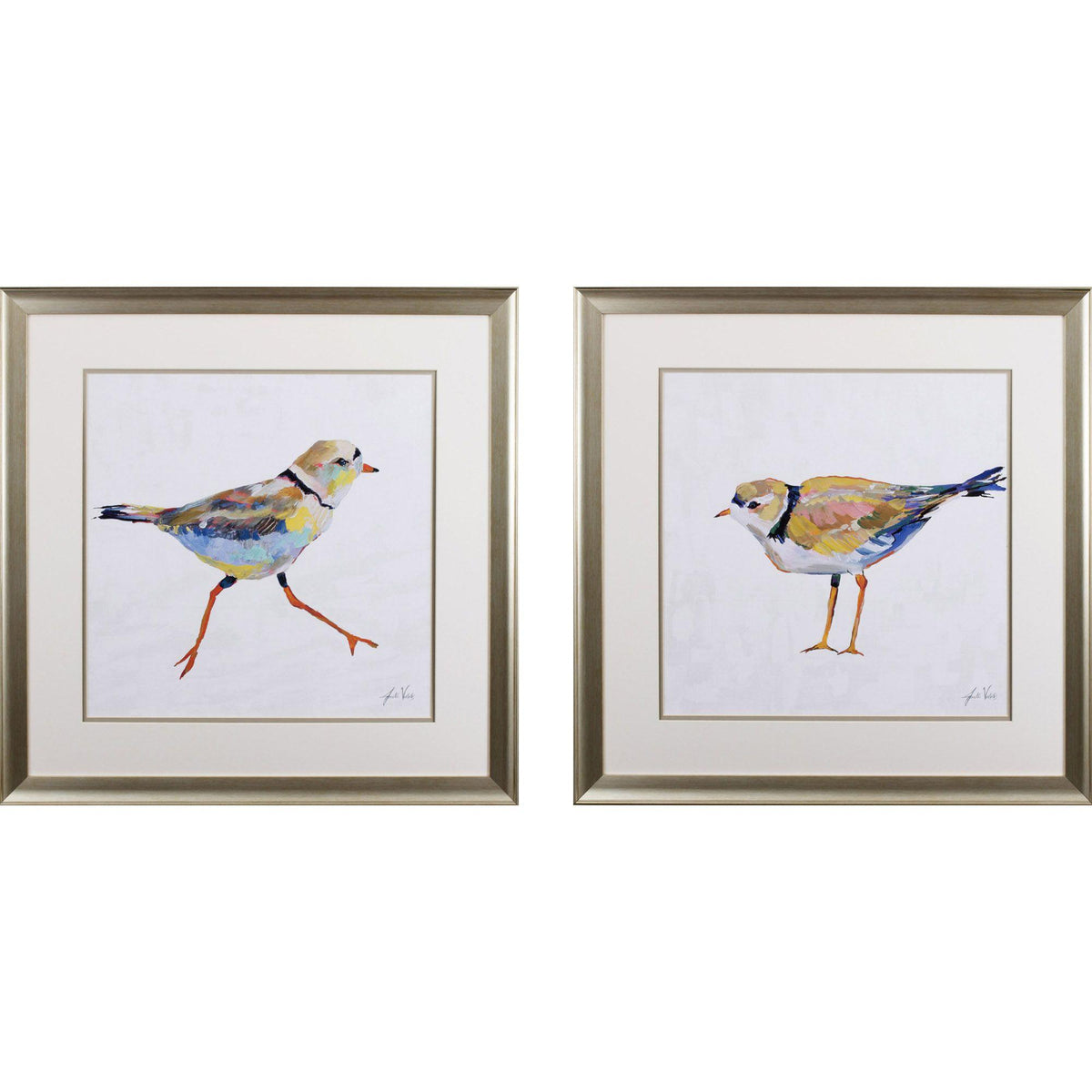 Paragon Coastal Plover S/2 Green 27 X 27 X 1 Wall Art