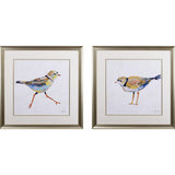 Paragon Coastal Plover S/2 Green 27 X 27 X 1 Wall Art