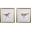 Paragon Coastal Plover S/2 Green 27 X 27 X 1 Wall Art