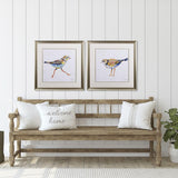 Paragon Coastal Plover S/2 Green 27 X 27 X 1 Wall Art