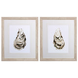 Paragon Neutral Oyster A S/2 Neutral 25 X 21 X 1 Wall Art