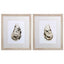 Paragon Neutral Oyster A S/2 Neutral 25 X 21 X 1 Wall Art
