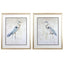 Paragon Great Blue Heron S/2 Blue 32 X 26 X 2 Wall Art
