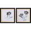 Paragon Dark Ophelia S/2 Gray 16 X 16 X 2 Wall Art