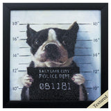 Paragon Mug Shot Neutral 11 X 11 X 2 Wall Art
