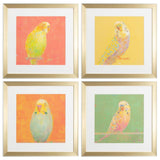 Paragon Colorful Bird B S/4 Green 18 X 18 X 2 Wall Art