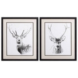 Paragon Wilderness Stare S/2 Black 26 X 22 X 2 Wall Art