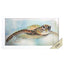 Paragon Majestic Turtle Brown 15 X 27 X 2 Wall Art