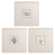 Paragon Corals A S/3 Gray 19 X 19 X 1 Wall Art