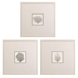Paragon Corals A S/3 Gray 19 X 19 X 1 Wall Art