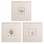 Paragon Corals A S/3 Gray 19 X 19 X 1 Wall Art