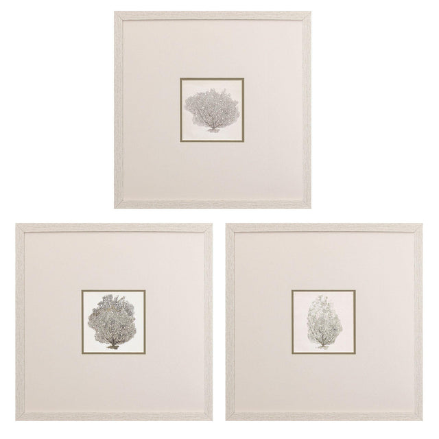 Paragon Corals A S/3 Gray 19 X 19 X 1 Wall Art