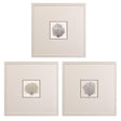 Paragon Corals B S/3 Gray 19 X 19 X 1 Wall Art