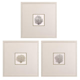 Paragon Corals B S/3 Gray 19 X 19 X 1 Wall Art