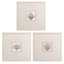 Paragon Corals B S/3 Gray 19 X 19 X 1 Wall Art