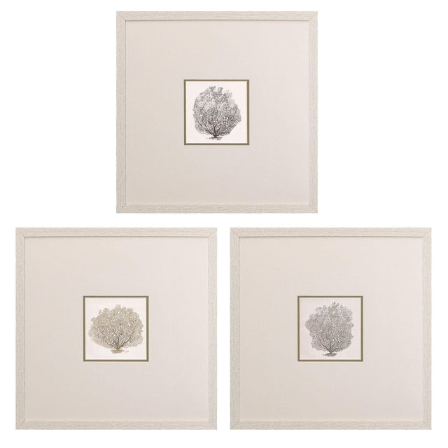 Paragon Corals B S/3 Gray 19 X 19 X 1 Wall Art
