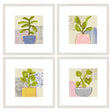 Paragon Native Bud S/4 Green 21 X 21 X 1 Wall Art