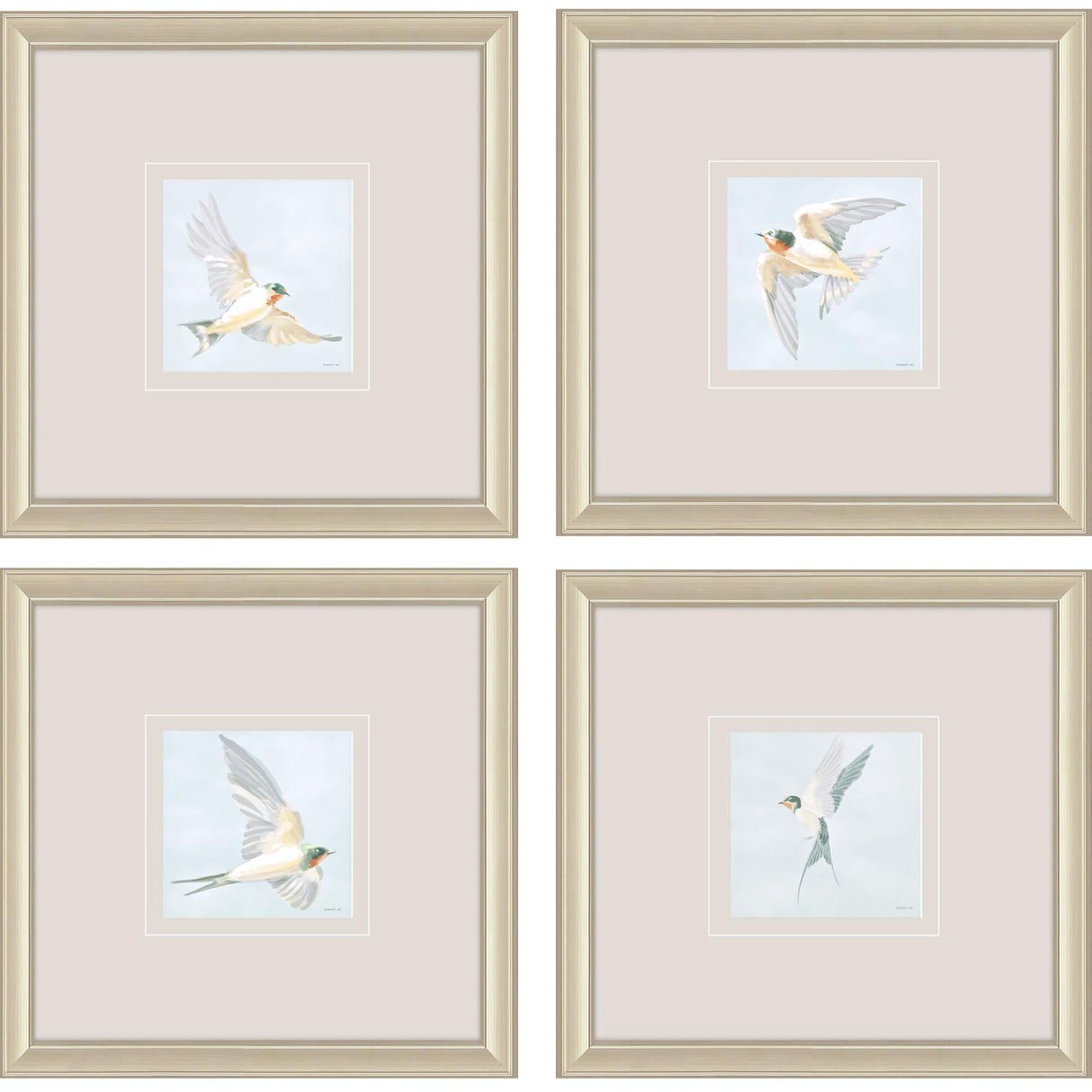 Paragon Swifts S/4 Turquoise 16 X 16 X 1 Wall Art