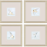 Paragon Swifts S/4 Turquoise 16 X 16 X 1 Wall Art