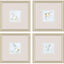 Paragon Swifts S/4 Turquoise 16 X 16 X 1 Wall Art