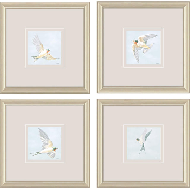 Paragon Swifts S/4 Turquoise 16 X 16 X 1 Wall Art