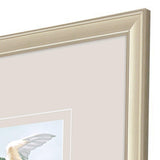 Paragon Swifts S/4 Turquoise 16 X 16 X 1 Wall Art