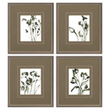 Paragon Sketched Moments S/4 Green 19 X 17 X 1 Wall Art