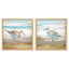 Paragon Serene Sandpiper S/2 Blue 18 X 18 X 1 Wall Art