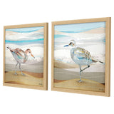 Paragon Serene Sandpiper S/2 Blue 18 X 18 X 1 Wall Art