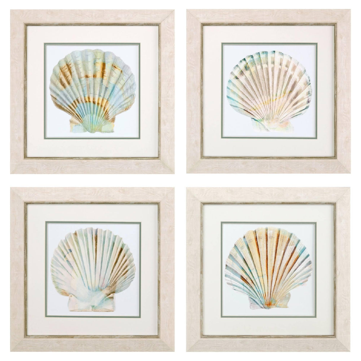 Paragon Sea Shape S/4 Turquoise 20 X 20 X 1 Wall Art