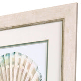 Paragon Sea Shape S/4 Turquoise 20 X 20 X 1 Wall Art