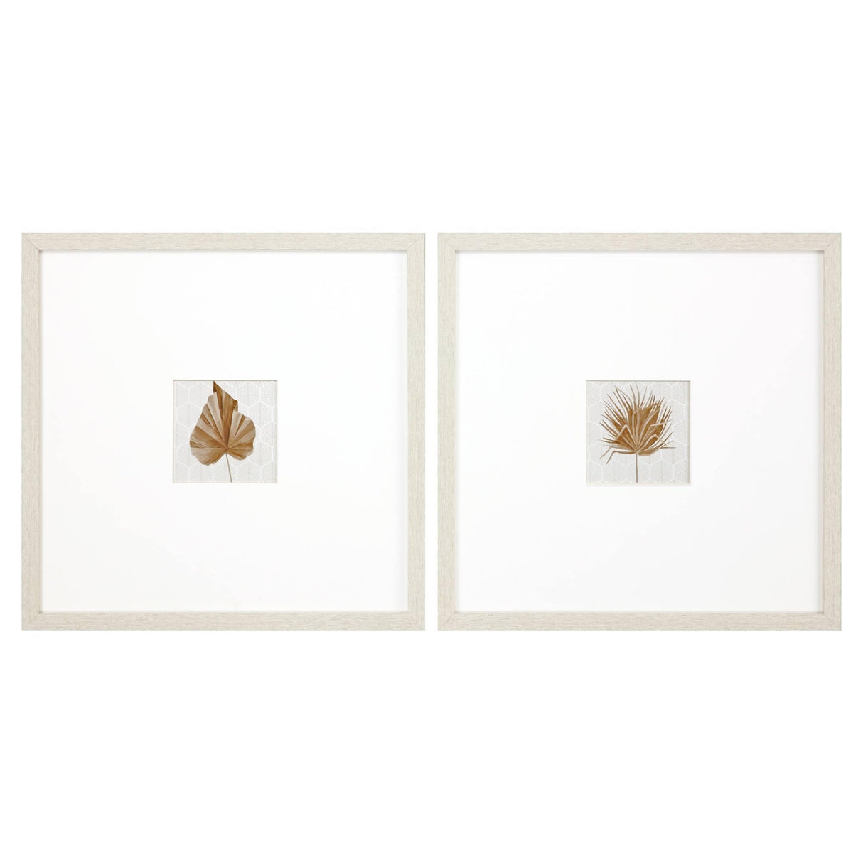 Paragon Neutral Palm S/2 Neutral 21 X 21 X 1 Wall Art