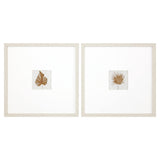 Paragon Neutral Palm S/2 Neutral 21 X 21 X 1 Wall Art